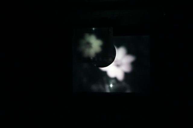 映画、または光と人間